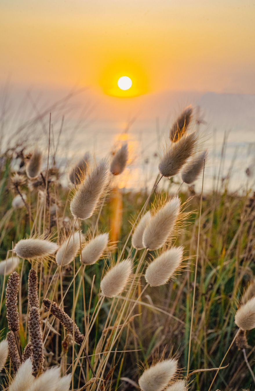 Peau lumineuse, un matin d'&eacute;t&eacute;